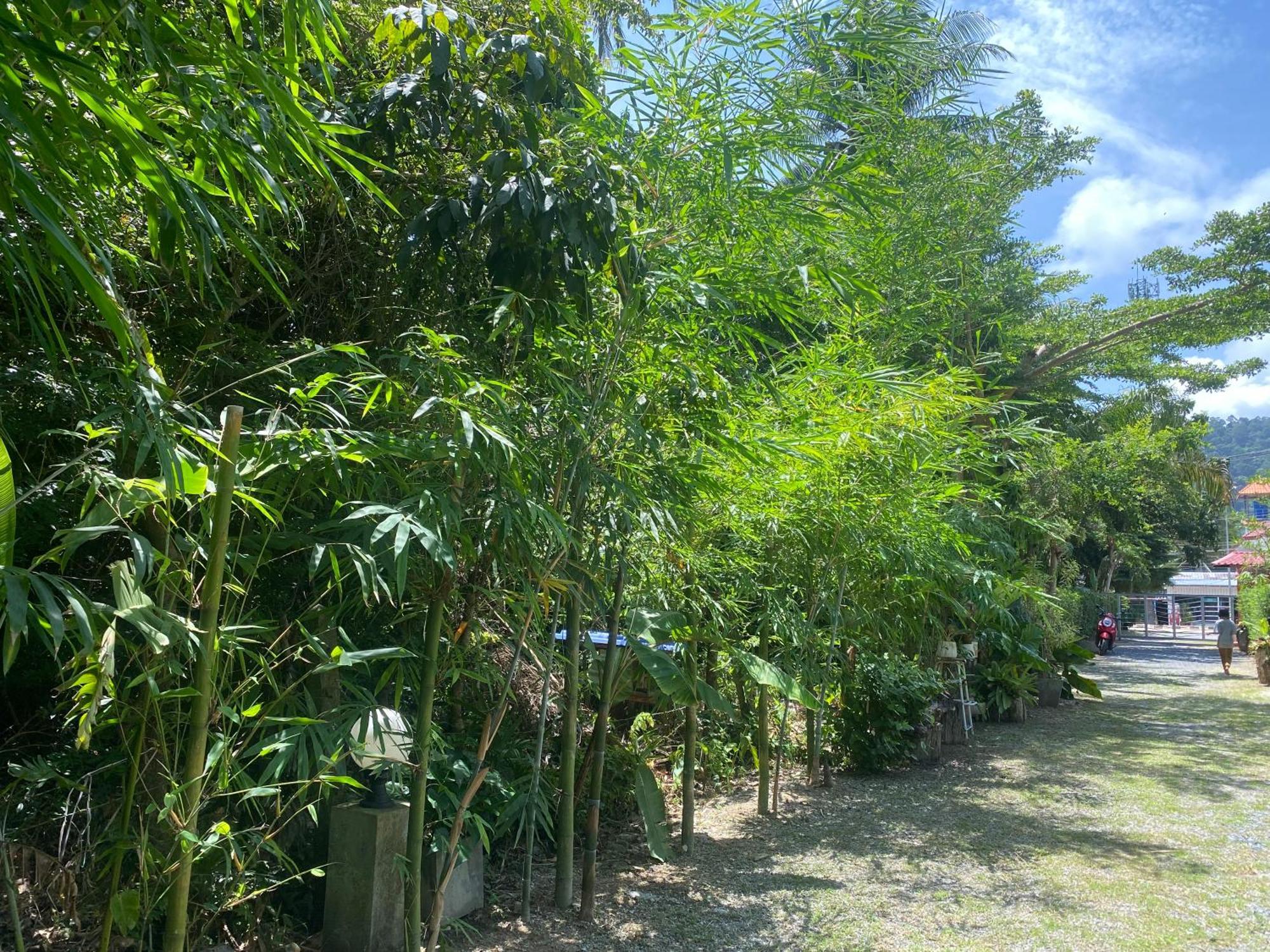 Hostel Baan Longhaad Ko Lanta Zewnętrze zdjęcie