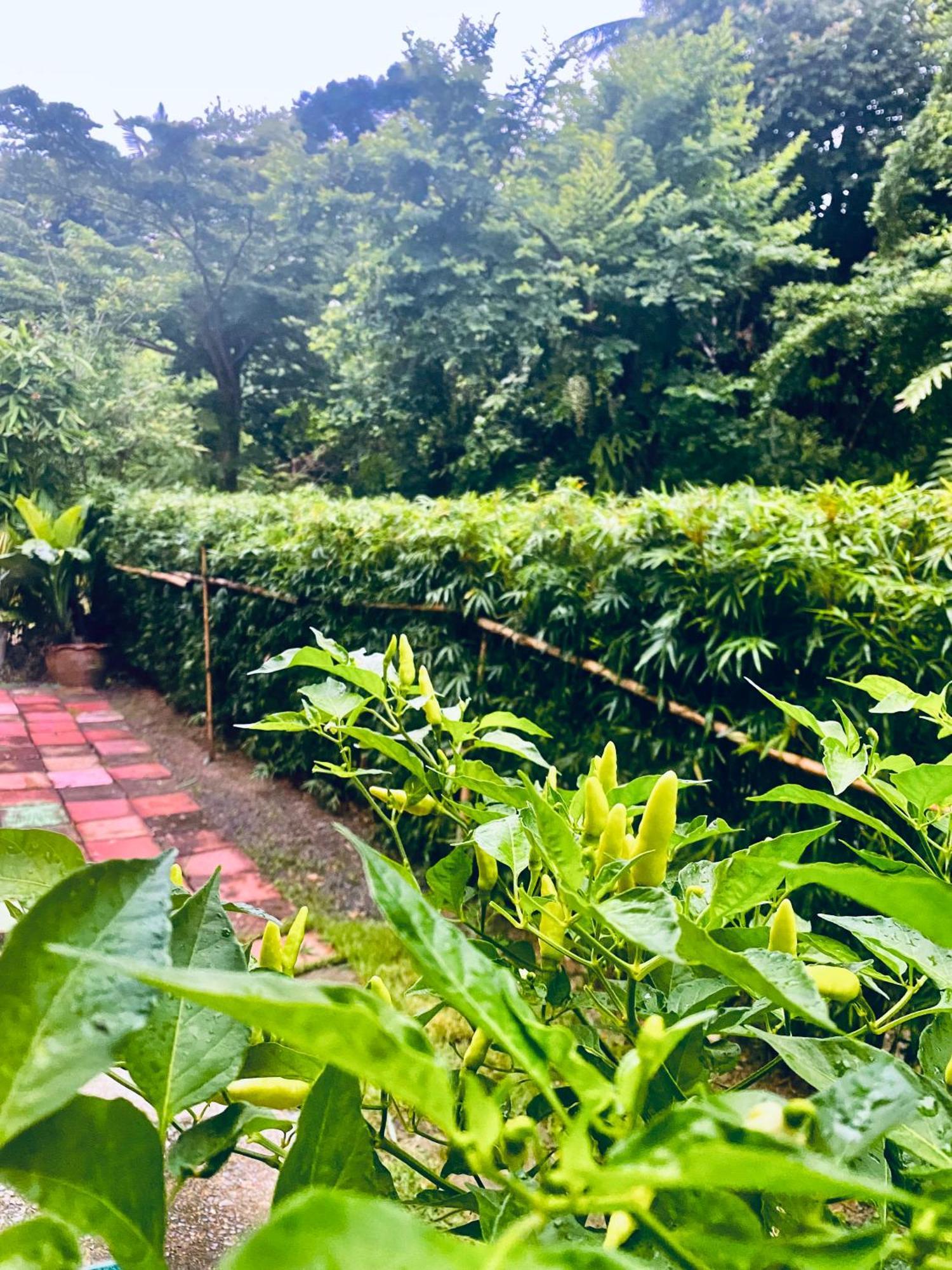 Hostel Baan Longhaad Ko Lanta Zewnętrze zdjęcie