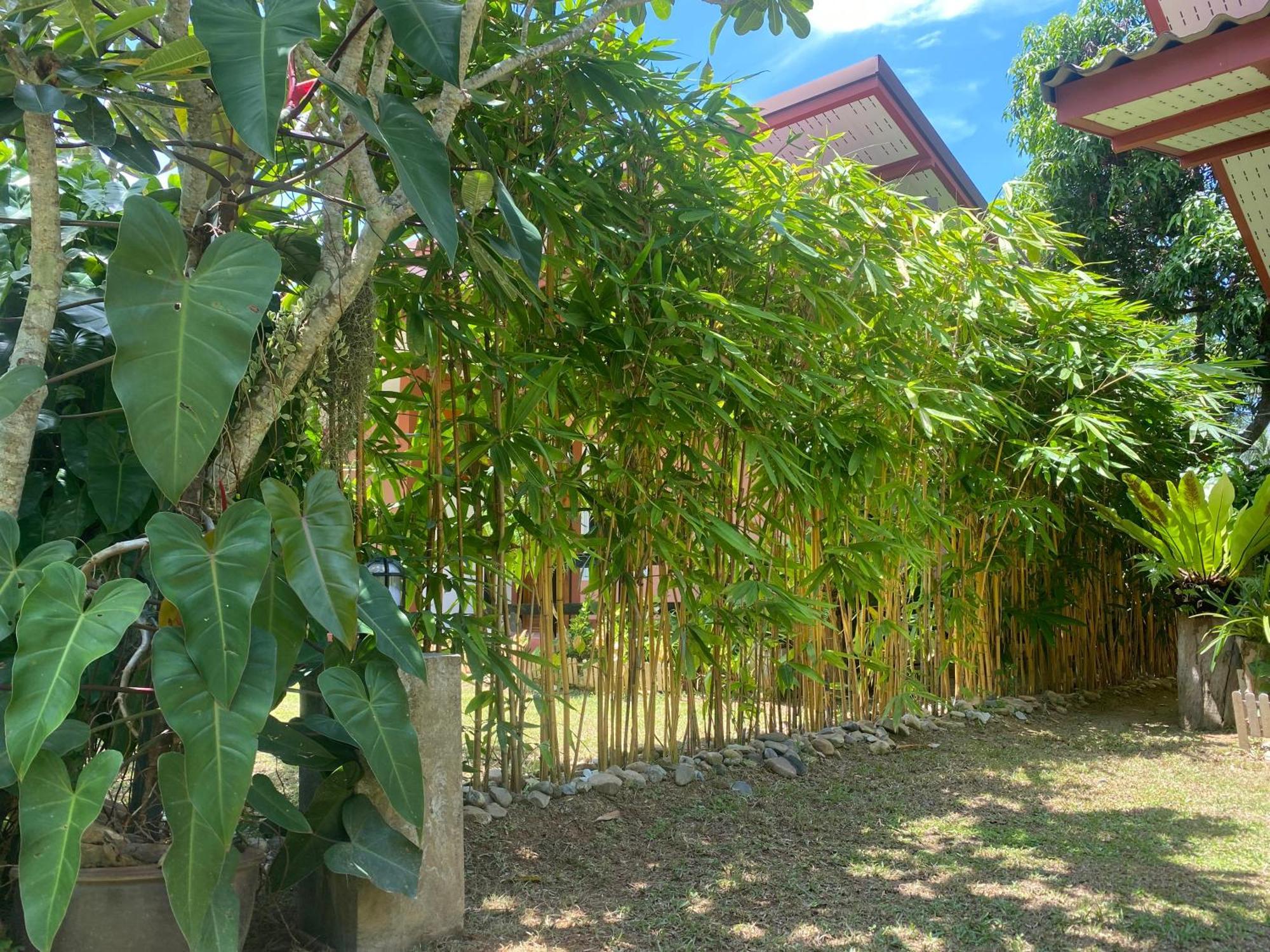 Hostel Baan Longhaad Ko Lanta Zewnętrze zdjęcie